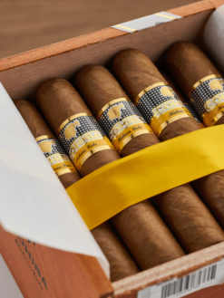 cohiba robusto 25 box