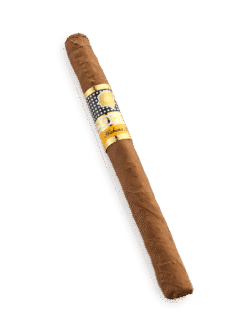 Cohiba panetelas 25 box