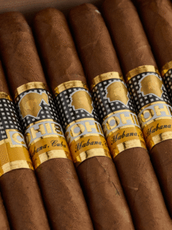 Alternative view of Cohiba Panetelas BN 25