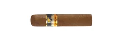 cohiba medio siglo