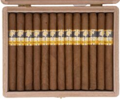 cohiba exquisitos 25